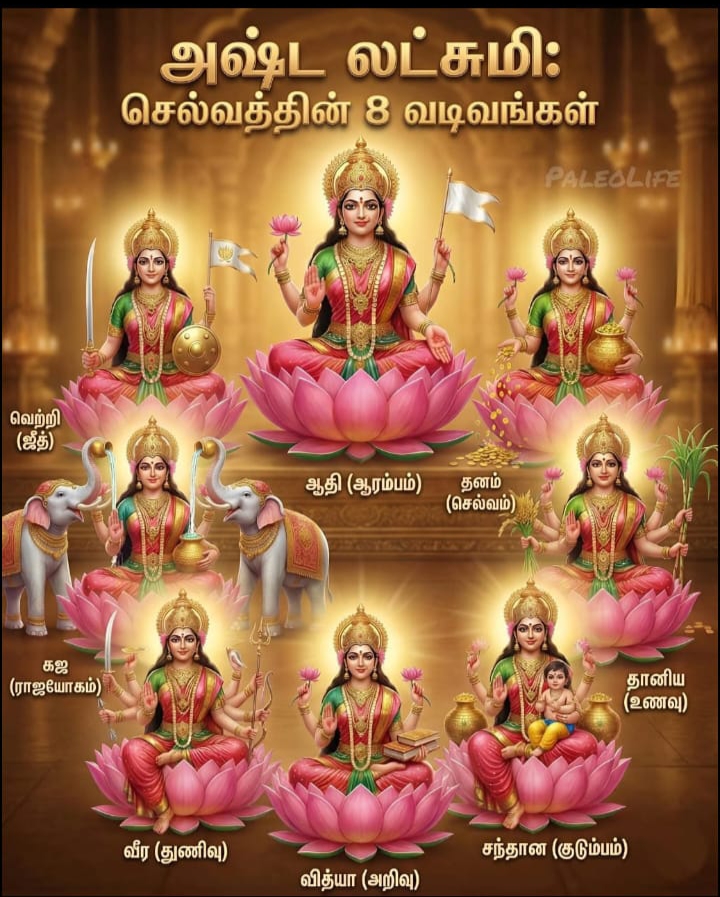 Gallery Image 31